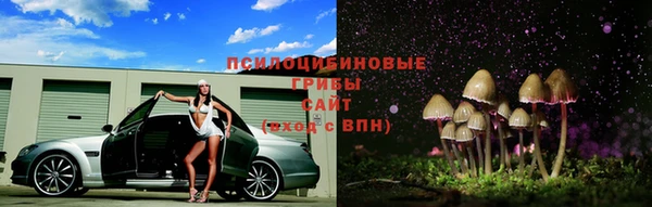 ешки Алексин